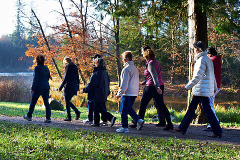 Walkinggruppe im Wald des Sigma-Zentrum Bad Säckingen, Privatklinik für Psychiatrie, Psychotherapie und Psychosomatische Medizin im Schwarzwald