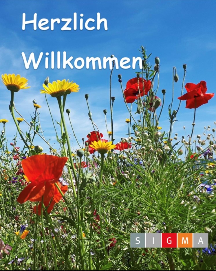 Ehemaligentreffen im Sigma Zentrum